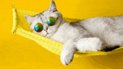 Otp GIF by Compassion Australia