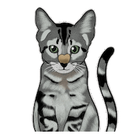 Cat Meow Sticker