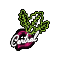 Seattle Grocery Sticker by Central Co-op