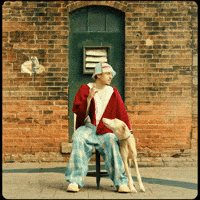 Music Video Dog GIF by Roderick Porter