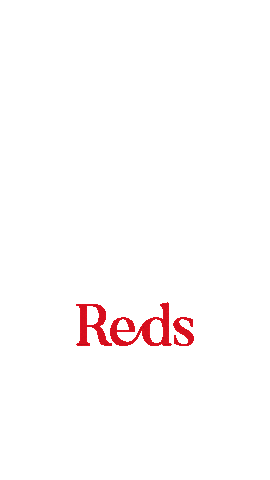 redsimmo giphyupload redsimmo redsimmobilien redsimmoverhuiswagen Sticker