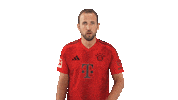 Fc Bayern Cheering Sticker by Bundesliga