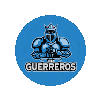 Guerreros Tribus Sticker by kids cdv