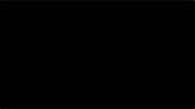 GIF by The Way I See It