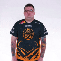 Counter-Strike Hello GIF by ENCE