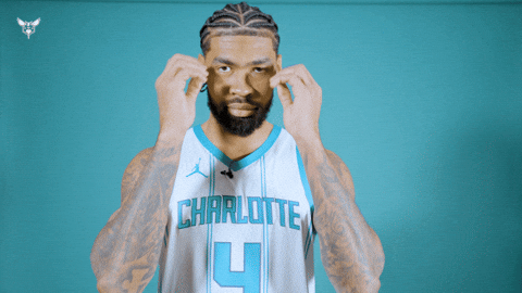 Hive Mentality Nick Richards GIF by Charlotte Hornets