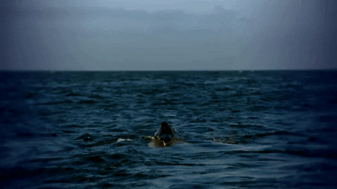 hungry discovery channel GIF by Discovery Europe