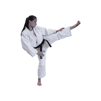 Martial Arts Artes Marciais Sticker by Krav-Maga BUKAN Goiânia