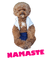 Dog Breathe Sticker