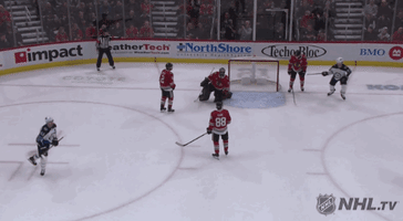 celebrate ice hockey GIF by NHL