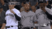 cws GIF by MLB