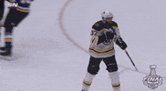 excited ice hockey GIF by NHL
