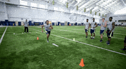 college football GIF by Michigan Athletics