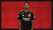 Eintracht Frankfurt Football GIF by Bundesliga