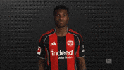 Eintracht Frankfurt GIF by Bundesliga