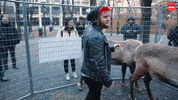 Merry Christmas GIF by BuzzFeed