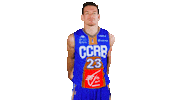 Basketball Basket Sticker by lnb_officiel