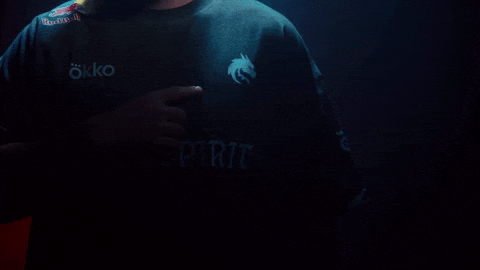 Hong Kong Esports GIF by BLAST