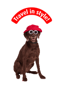 Fun Dog Sticker by Niedersachsen-Ticket