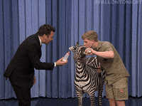 jimmy fallon baby GIF by The Tonight Show Starring Jimmy Fallon