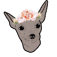 Dog Wedding Sticker by WedLocks