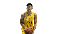 University Santo Sticker by UST Growling Tigers