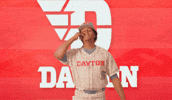 Baseball GIF by Dayton Flyers