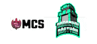 Esport Sticker by Megyék Csatája