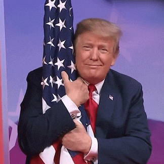 https://media1.giphy.com/media/v1.Y2lkPTc5MGI3NjExc3kycW4zZnBwa3V1dmo1Z3lyNnVhcnRsazdoYmM5dnNodzhxZ20wayZlcD12MV9pbnRlcm5hbF9naWZfYnlfaWQmY3Q9Zw/lPFZyhkUv7X7wFXwih/giphy.gif