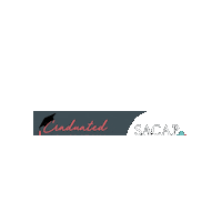 Graduation Grad Sticker by SACAP