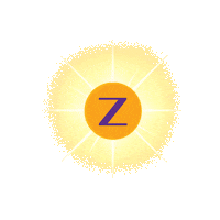 ZoomTan sun sunshine sunny bright Sticker