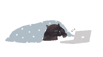 Its Friday Cat Sticker