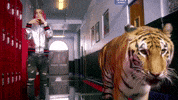 gucci gang GIF by Lil Pump