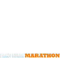 paavonurmisports marathon maraton turku pnm Sticker