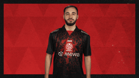 Mainz 05 Hello GIF by Bundesliga