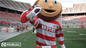 Ncaa Sports GIF by Ohio State Athletics