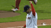 Major League Baseball Sport GIF by MLB