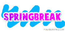 spring break Sticker