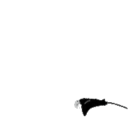 Manta Ray Ocean Sticker