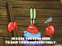 season 8 GIF by SpongeBob SquarePants