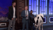 ashton kutcher conan obrien GIF by Team Coco