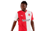 Football Soccer Sticker by SK Slavia Praha