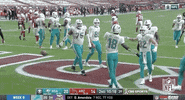 Regular Season Football GIF by NFL