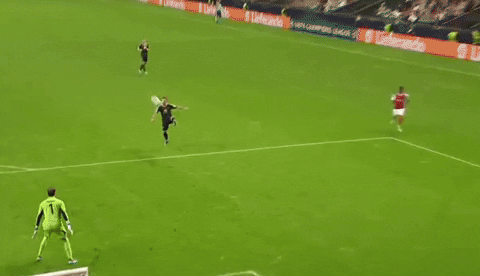 michalraka giphyupload GIF