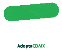 AdoptaCDMX cat dogs gatos amigo Sticker