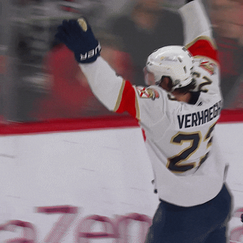 Hands Up Hug GIF by Florida Panthers