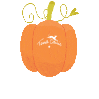 Halloween Dogfood Sticker by Terra Canis