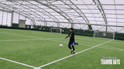 shooting jack whitehall GIF by Jack Whitehall: Training Days