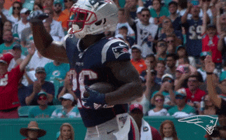 Sony Michel Dancing GIF by New England Patriots