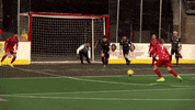 Arena Soccer Win GIF by New Mexico Runners